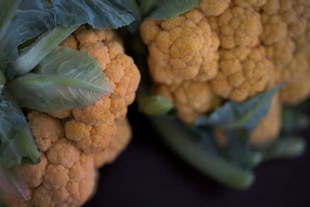 SWF_Cauliflower